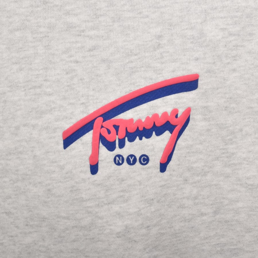 Image number 4 for Tommy Jeans NYC Signature Hoodie Grey