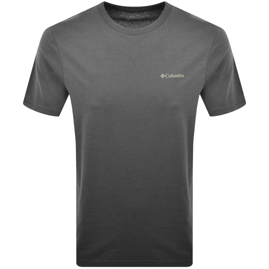 Image number 2 for Columbia Outdoor Back Graphic T Shirt Grey
