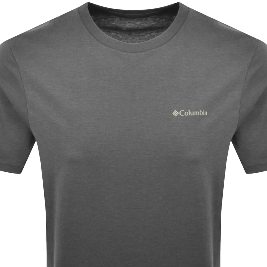 Image number 3 for Columbia Outdoor Back Graphic T Shirt Grey