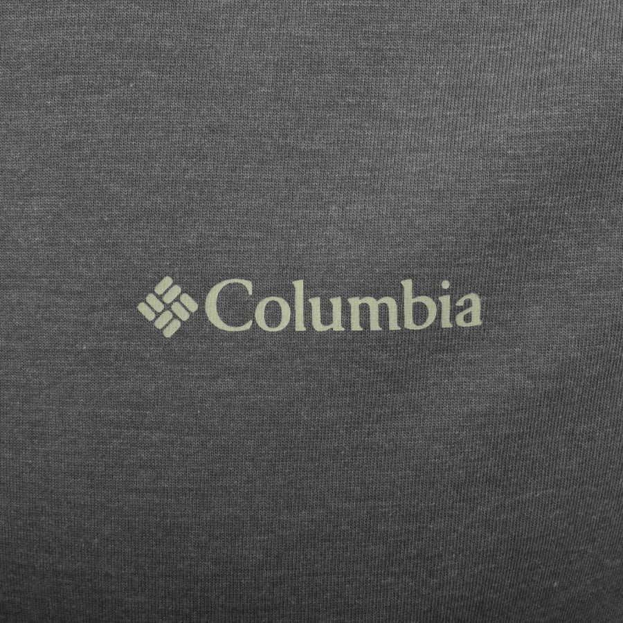 Image number 4 for Columbia Outdoor Back Graphic T Shirt Grey