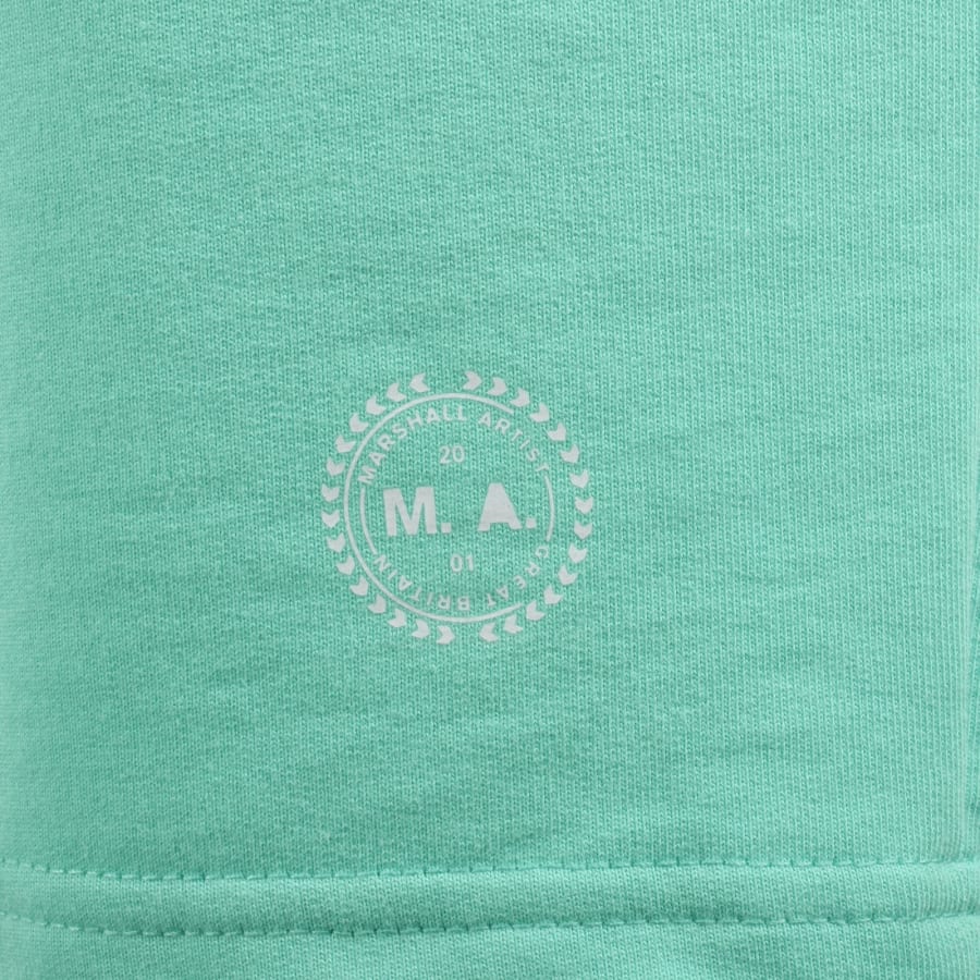 Image number 3 for Marshall Artist Delta Print Logo Shorts Green
