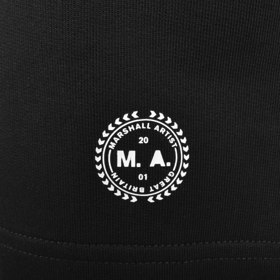 Image number 3 for Marshall Artist Delta Logo Shorts Black