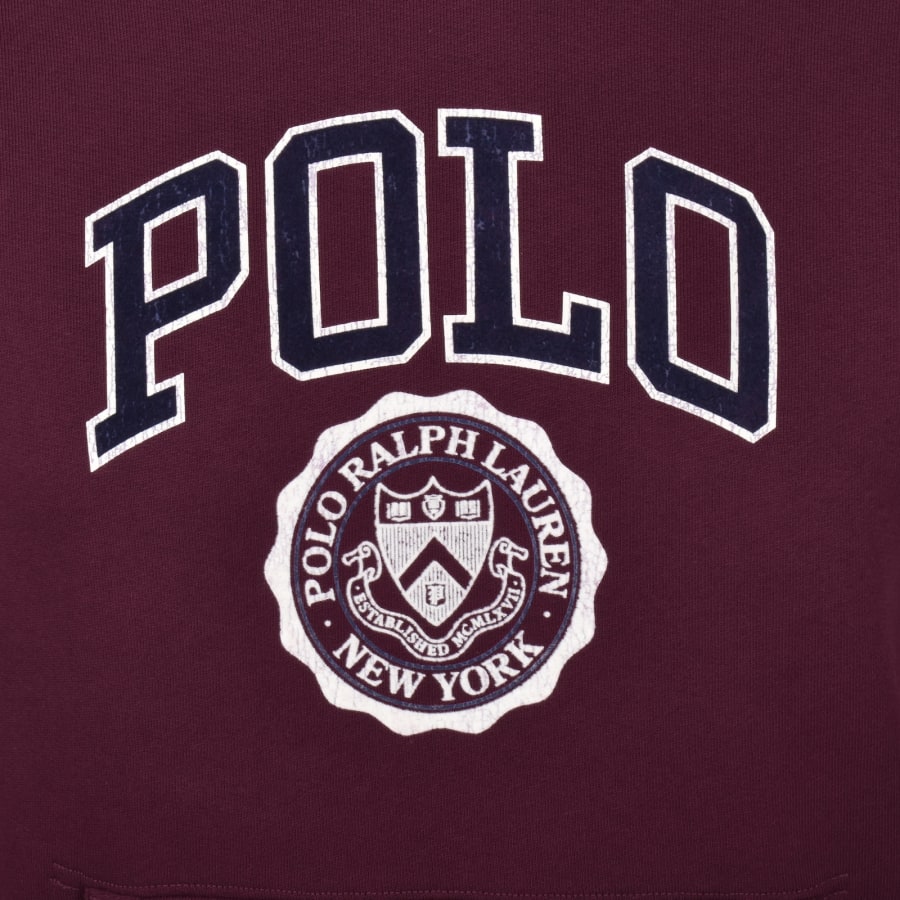 Image number 3 for Ralph Lauren Pullover Hoodie Red