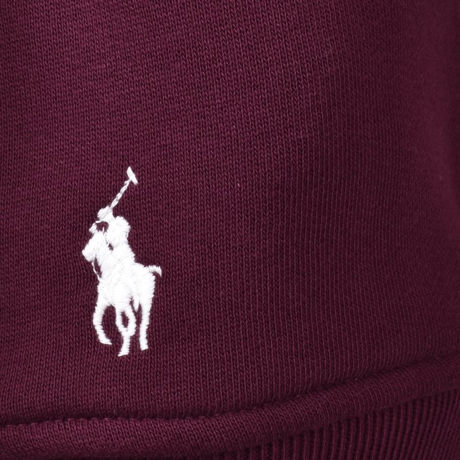 Image number 4 for Ralph Lauren Pullover Hoodie Red
