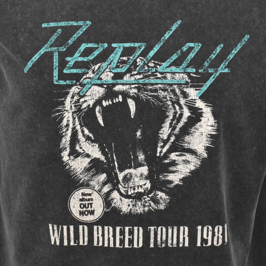 Image number 3 for Replay Graphic T Shirt Grey