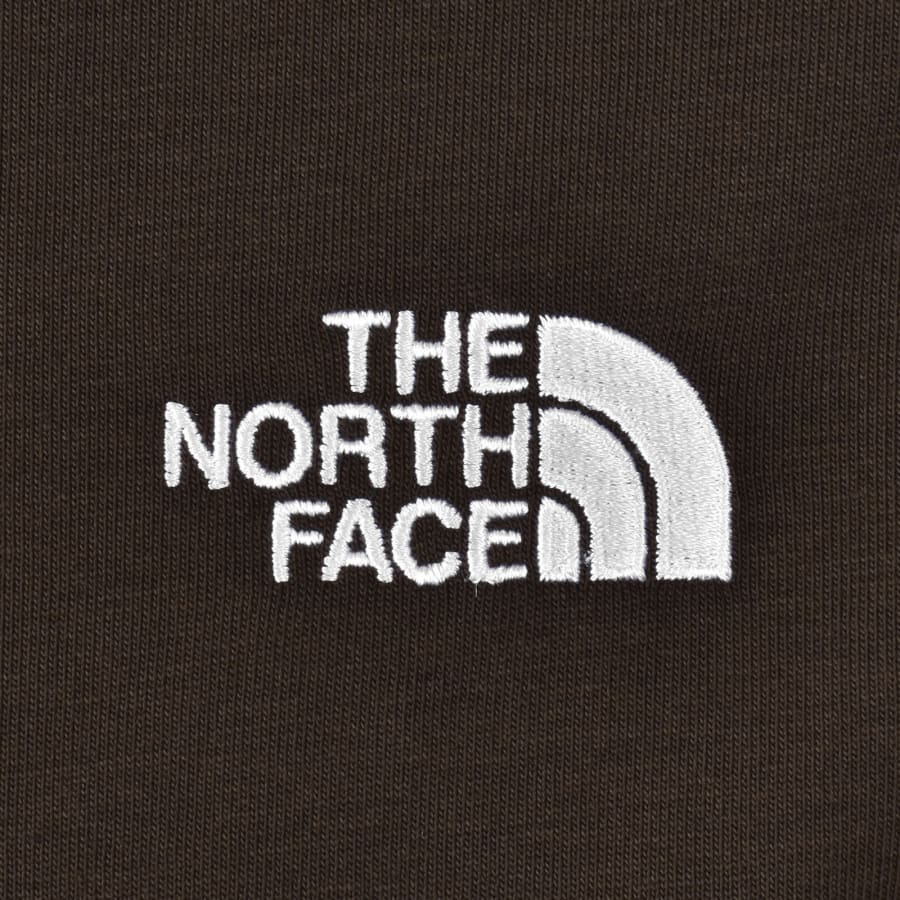 Image number 3 for The North Face Evolution T Shirt Brown