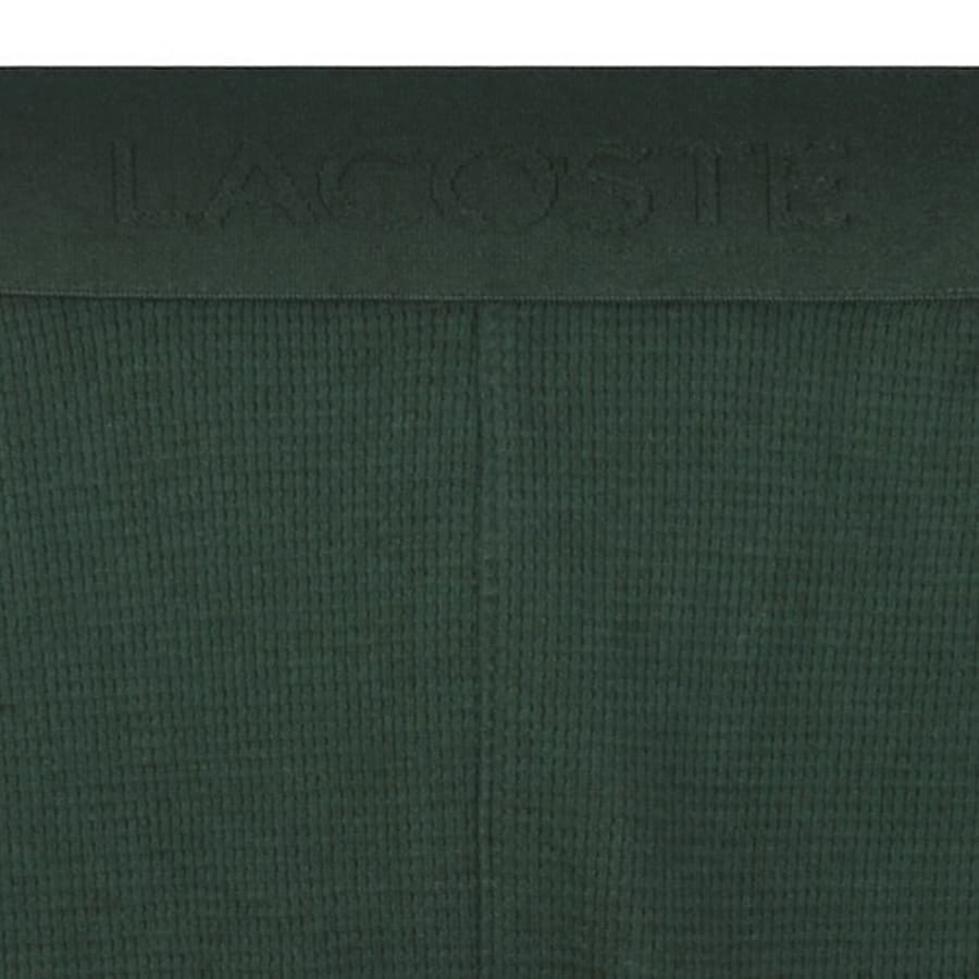 Image number 4 for Lacoste Lounge Waffle Shorts Green