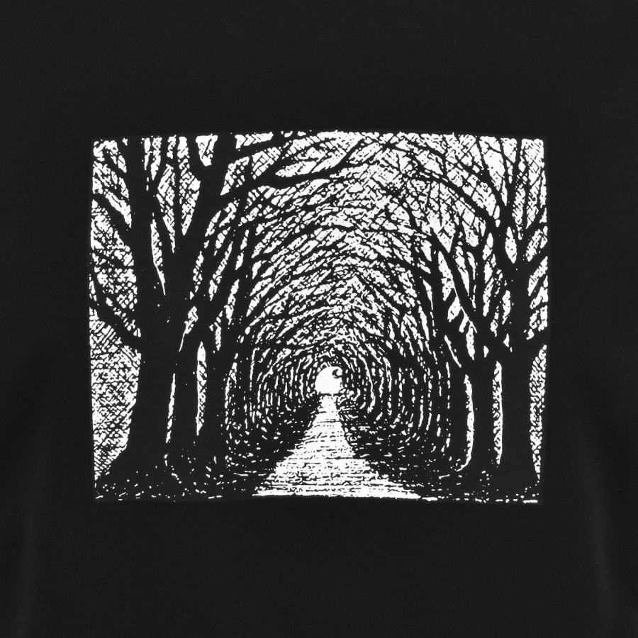 Image number 3 for Carhartt WIP Avenue T Shirt Black