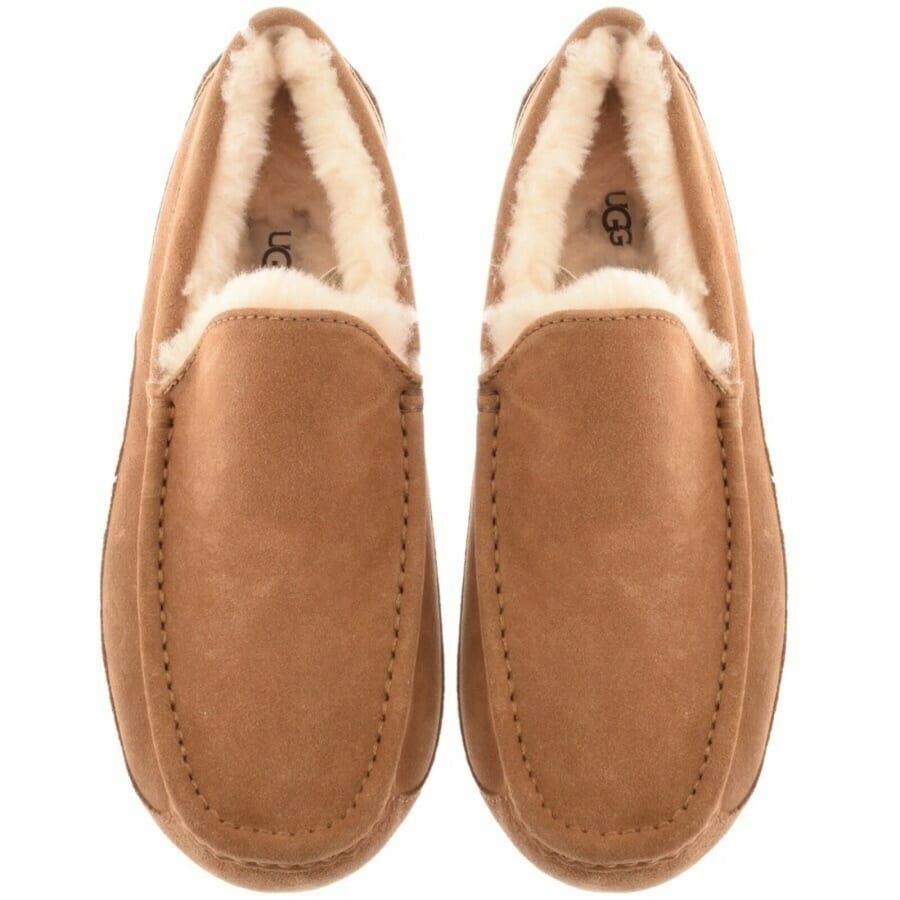Image number 2 for UGG Ascot Slippers Chestnut Brown