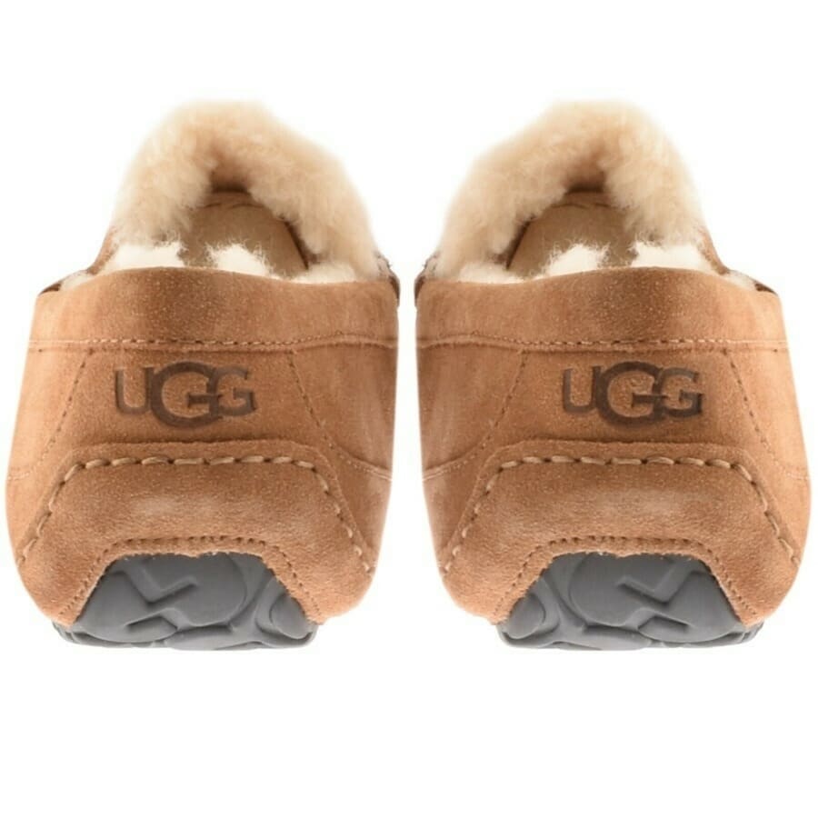 Image number 3 for UGG Ascot Slippers Chestnut Brown