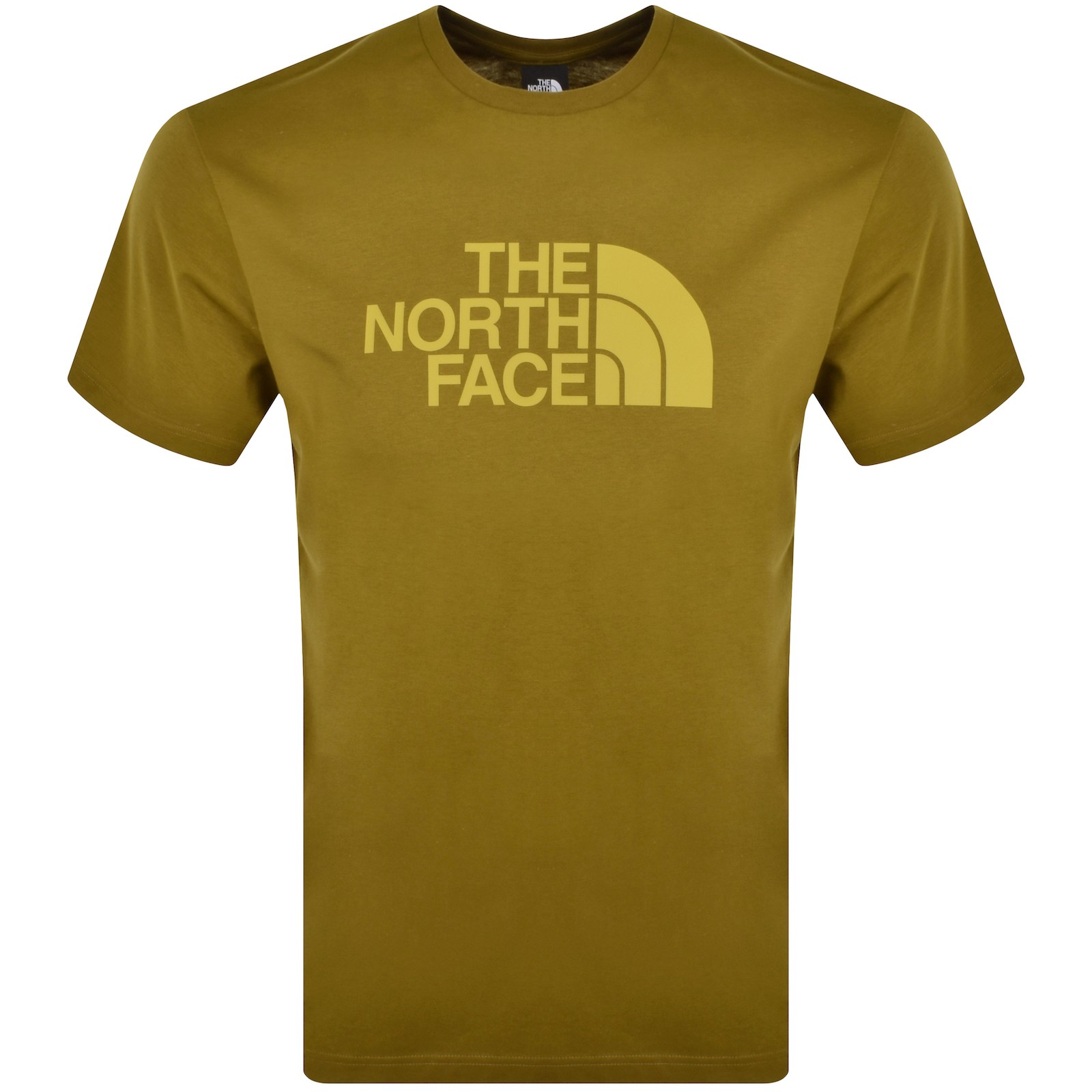 THE NORTH FACE THE NORTH FACE EASY T SHIRT GREEN 