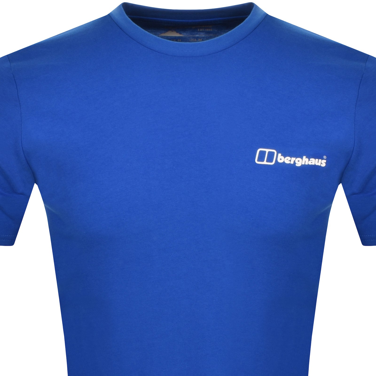 Shop Berghaus Mountain Art T Shirt Blue