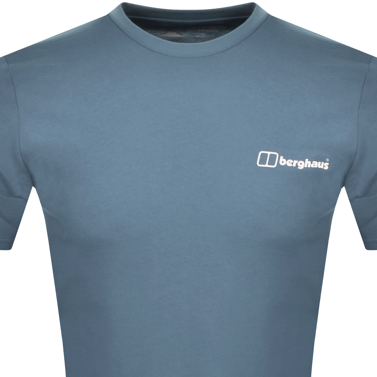 Shop Berghaus Cheviot Box Logo T Shirt Blue