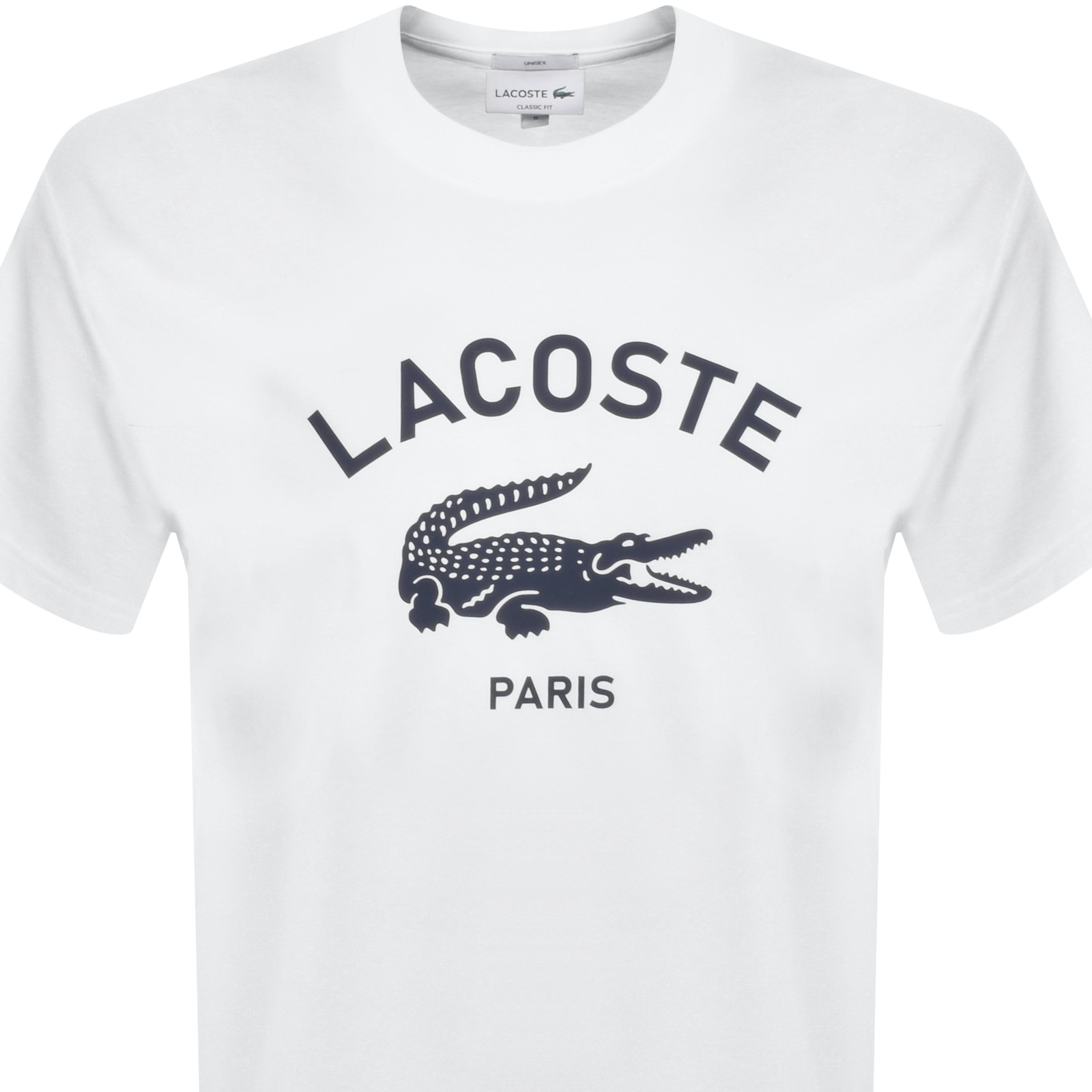 Shop Lacoste Paris Logo T Shirt White