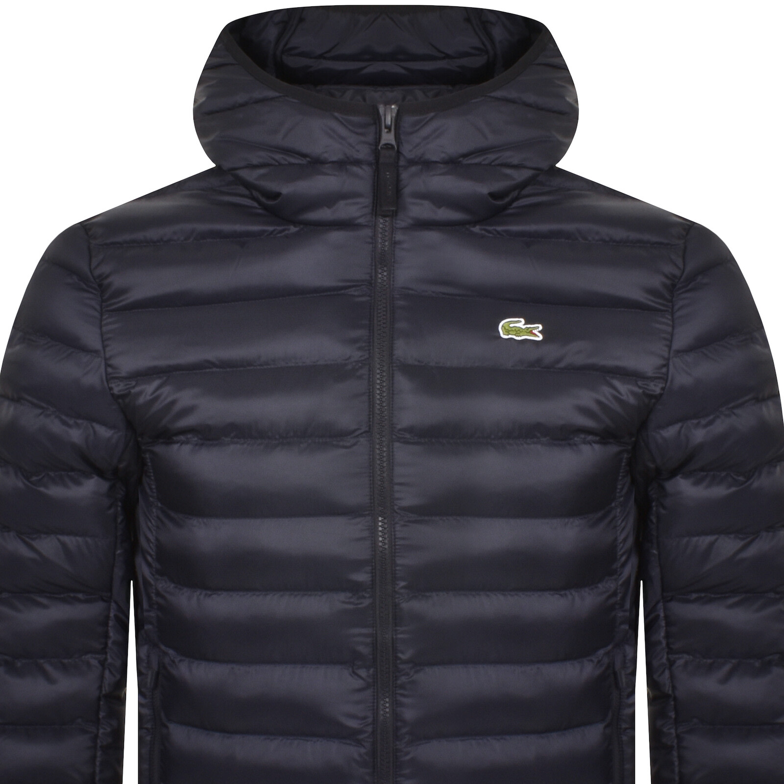 Shop Lacoste Full Zip Logo Jacket Navy