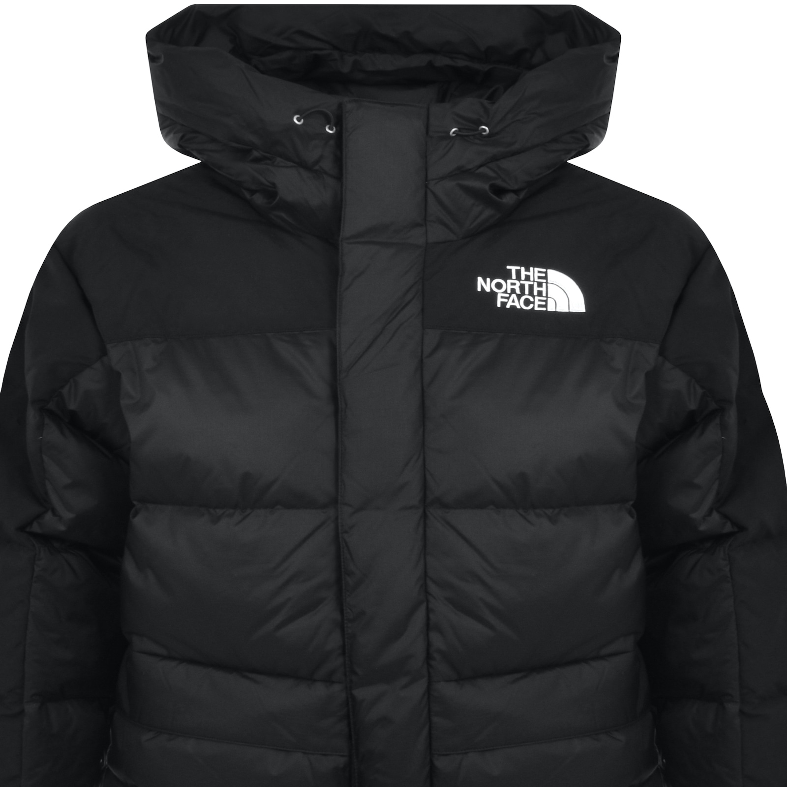 The North Face Hmlyn Down Parka In Black