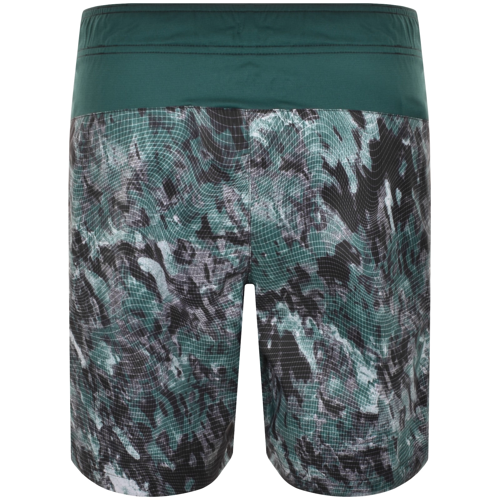 THE NORTH FACE THE NORTH FACE SHORTS GREEN 