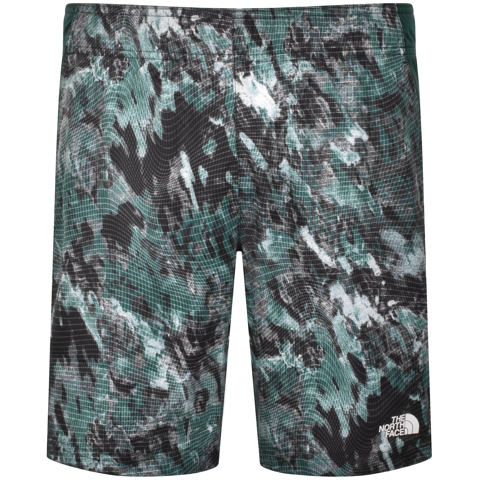 THE NORTH FACE THE NORTH FACE SHORTS GREEN 