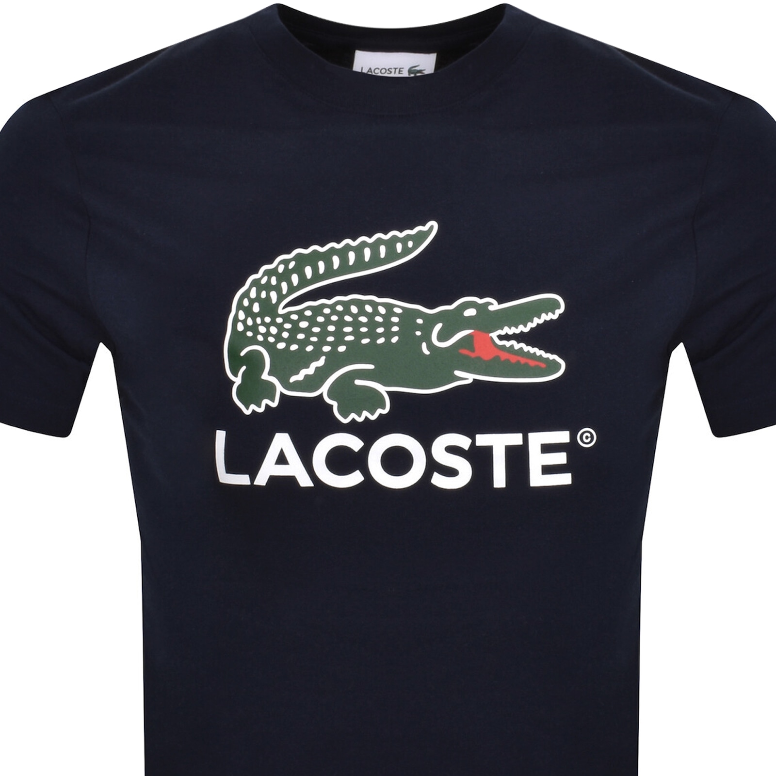 Lacoste Crew Neck Cotton T-shirt Print In Blue