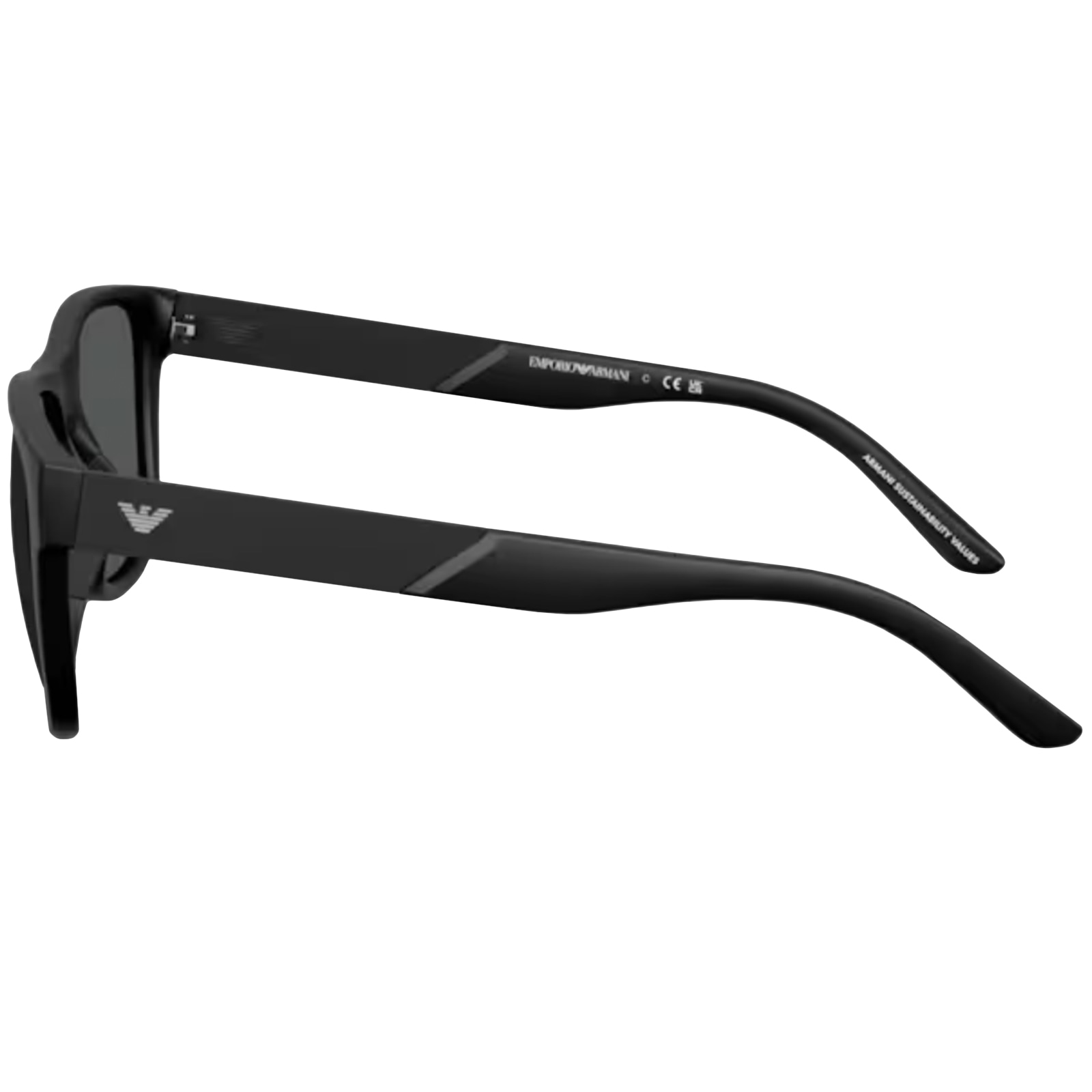 Armani Collezioni Emporio Armani 4243 Sunglasses Black In Black