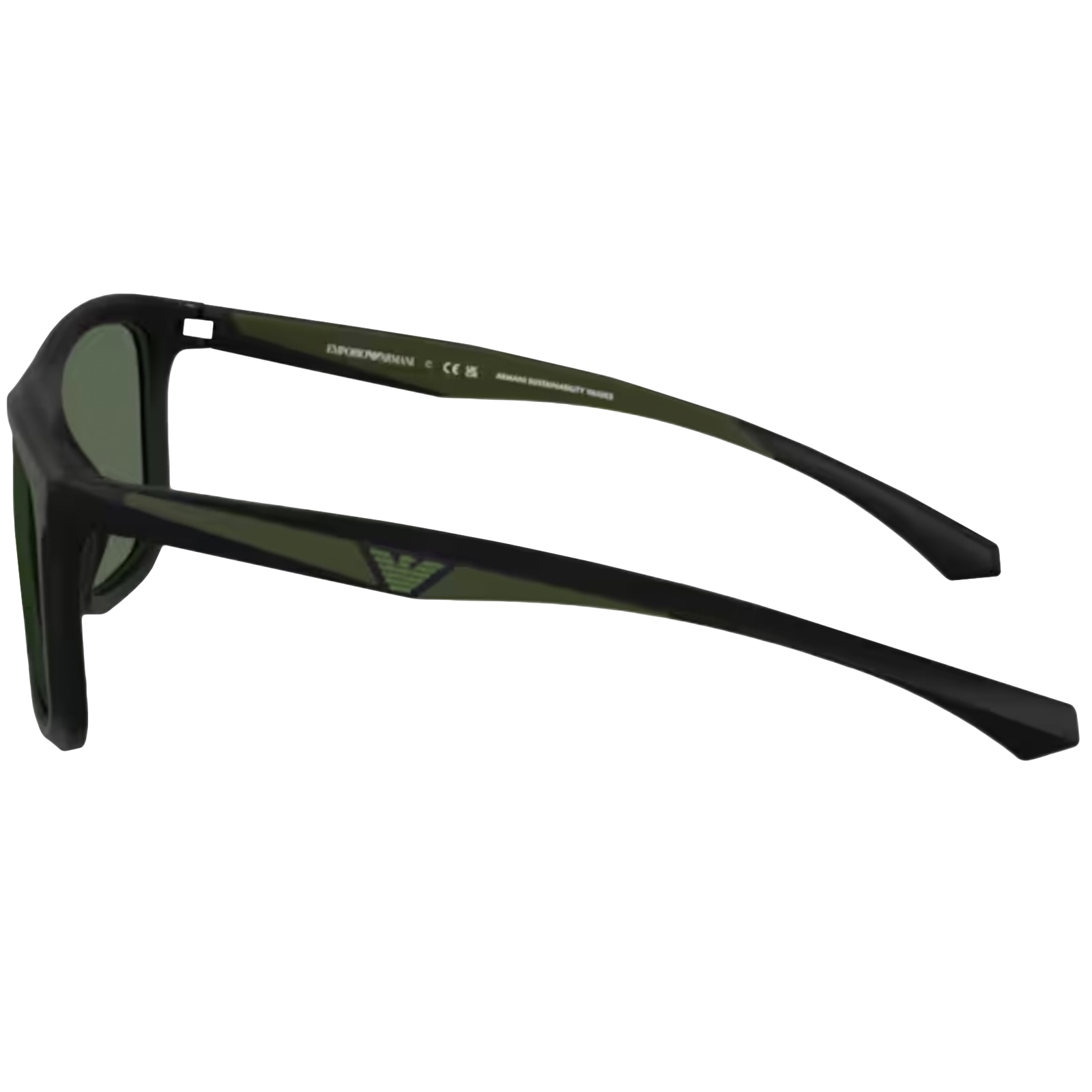Armani Collezioni Emporio Armani 4234u Sunglasses Black In Black