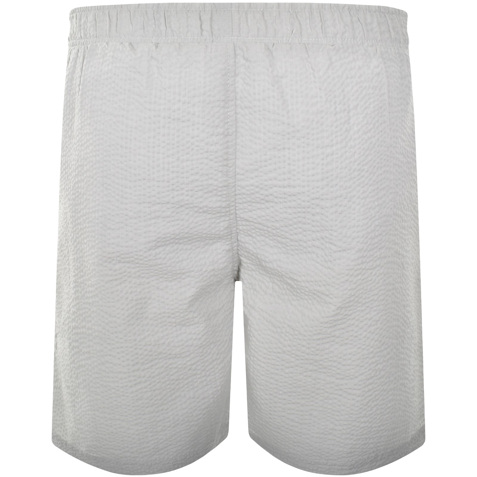 Ellesse Segnato Swim Shorts Grey In Gray