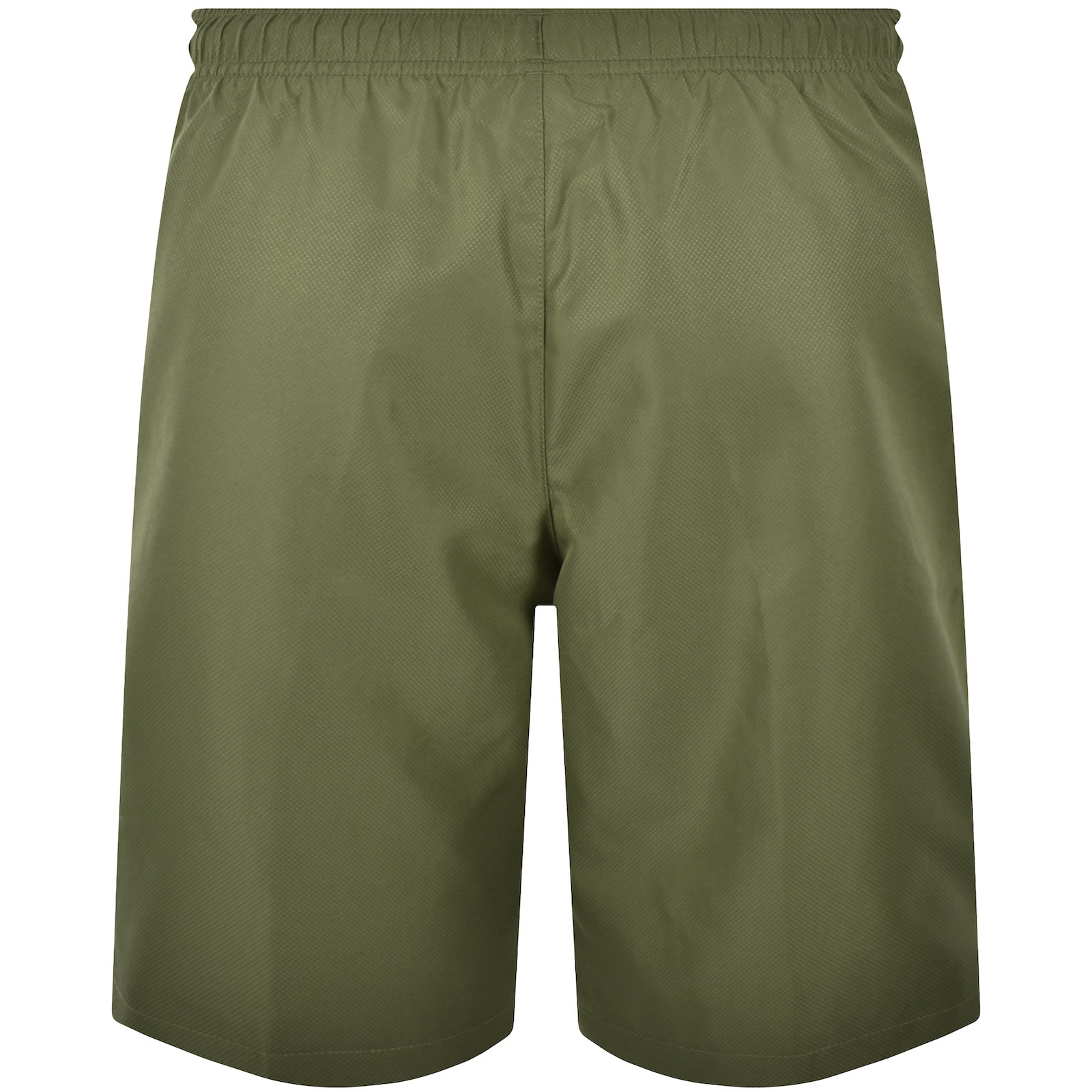 Lacoste Tech Performance Shorts Green In Green