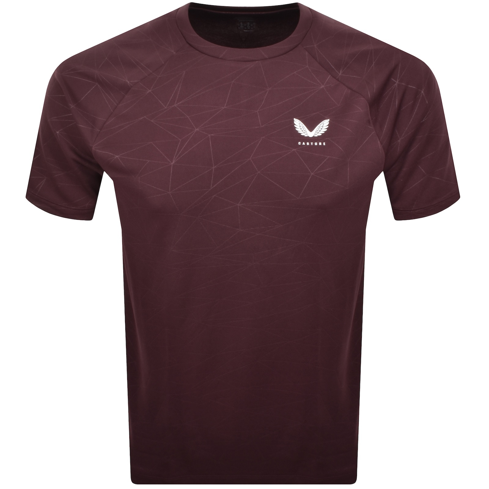 Castore Adapt T Shirt Burgundy In Brown
