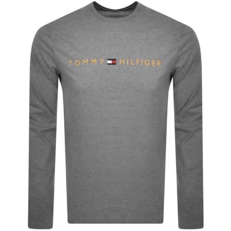 Tommy Hilfiger T shirts | Mainline Menswear