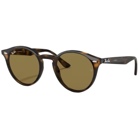 Product Image for Ray Ban 6958 Propionate Sunglasses Brown