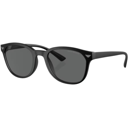 Product Image for Emporio Armani 0EA4225 Sunglasses Black