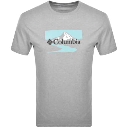 Product Image for Columbia Path Lake Graphic T Shirt Grey