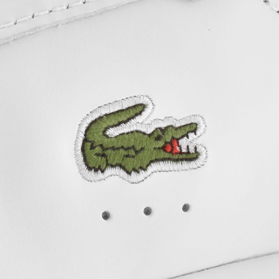 Lacoste hot sale crocodile shoes
