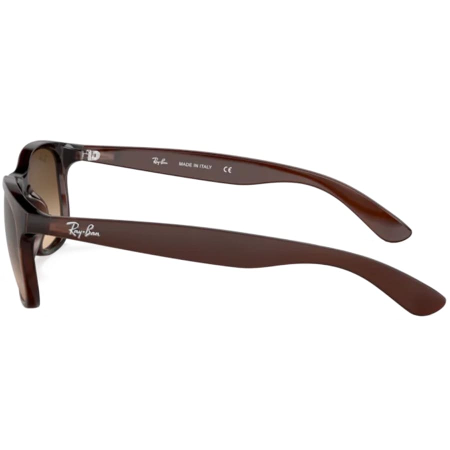 Image number 2 for Ray Ban 8905 Andy Sunglasses Brown