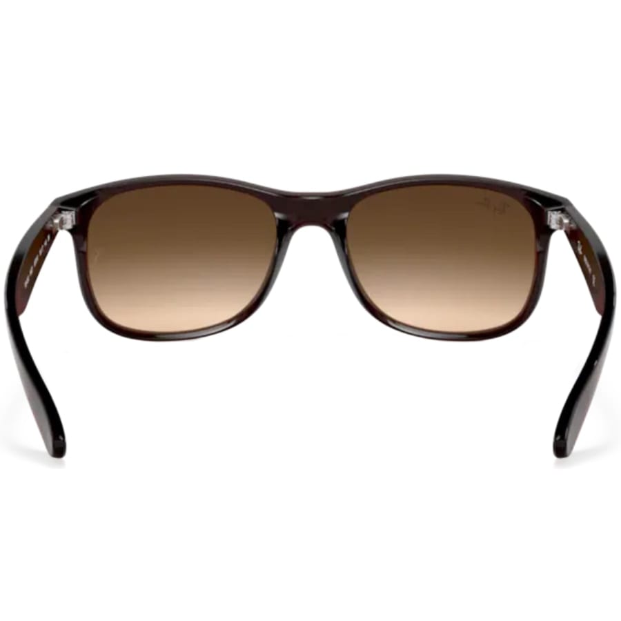 Image number 3 for Ray Ban 8905 Andy Sunglasses Brown
