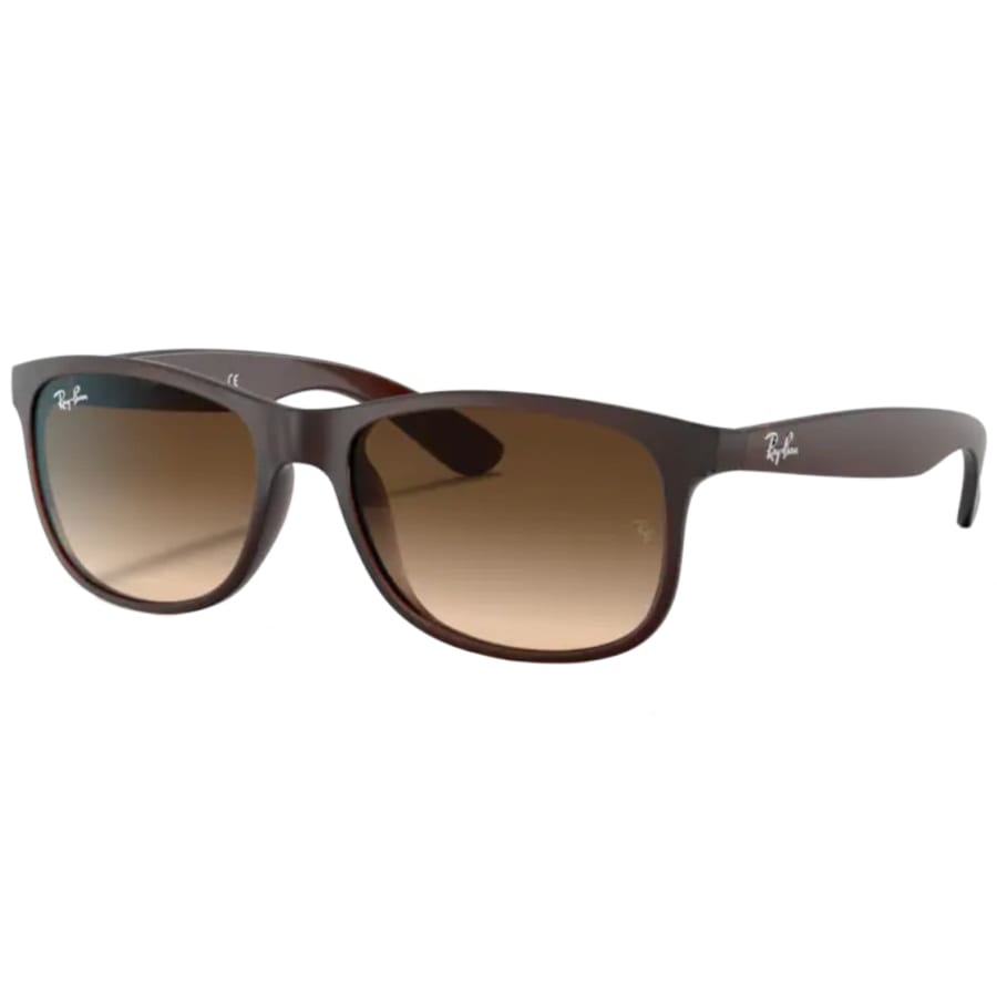 Image number 1 for Ray Ban 8905 Andy Sunglasses Brown