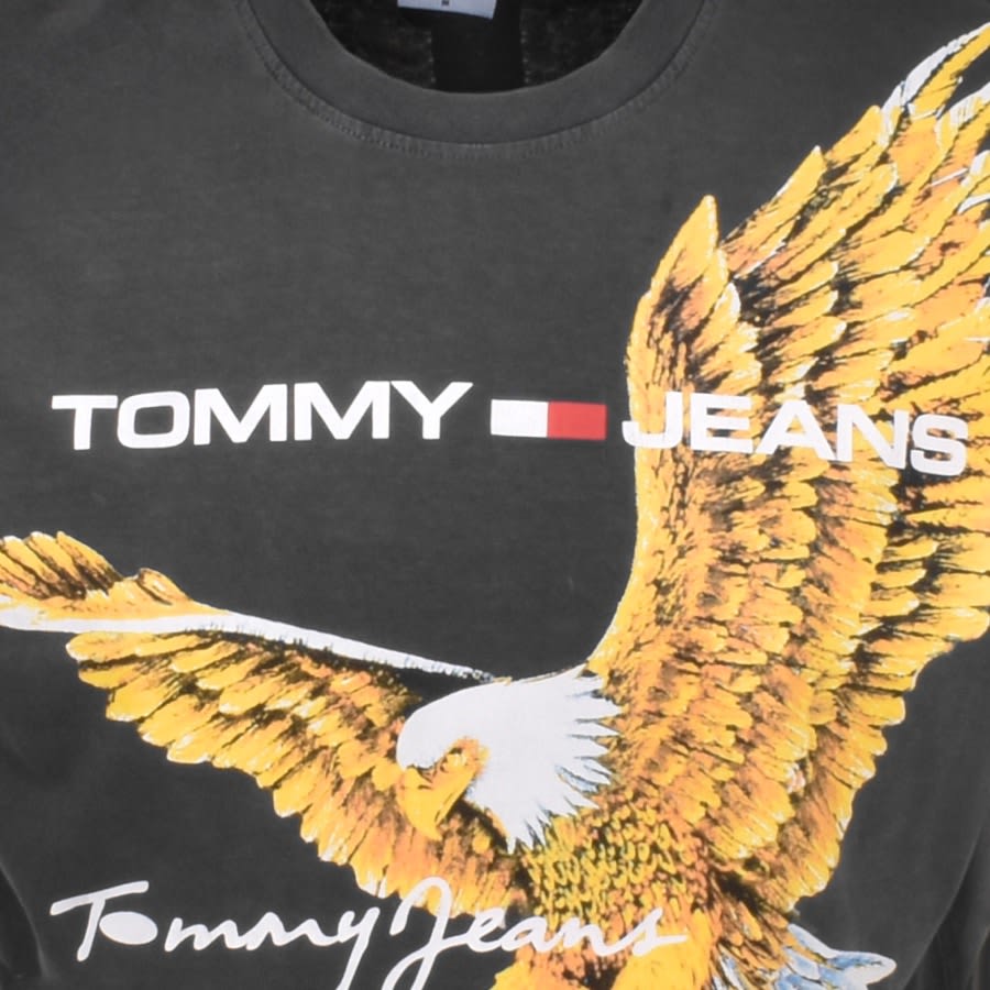 Image number 3 for Tommy Jeans Eagle T Shirt Grey