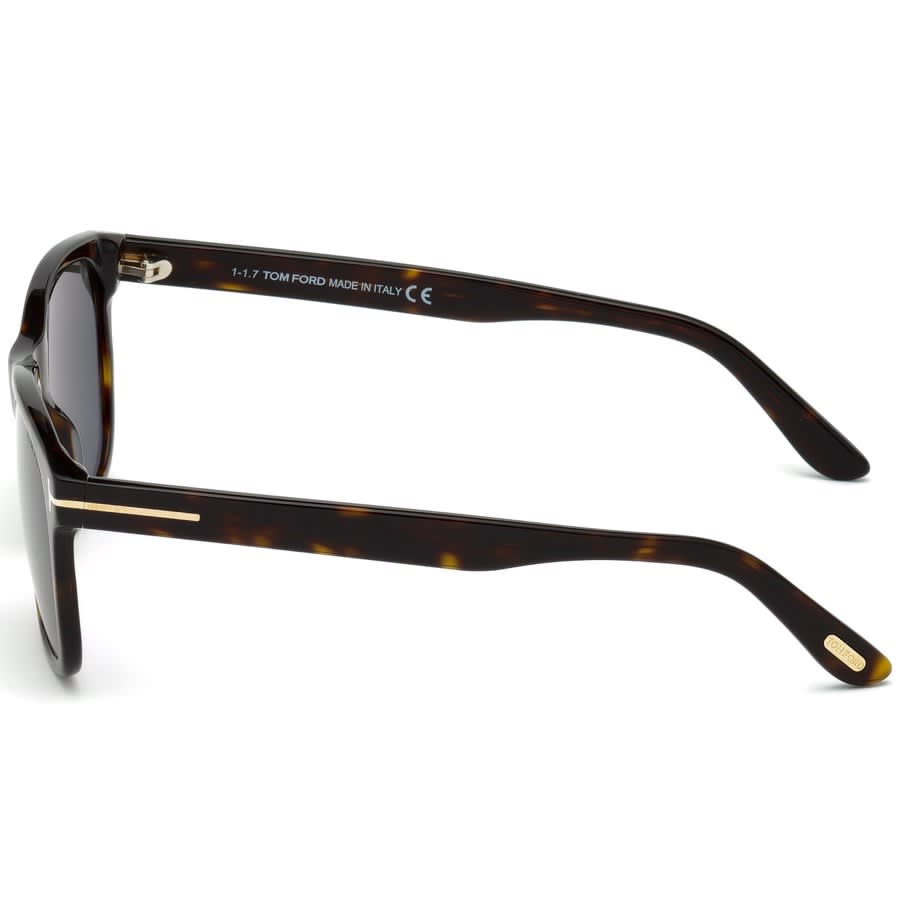 Image number 2 for Tom Ford Eric 02 Sunglasses Brown