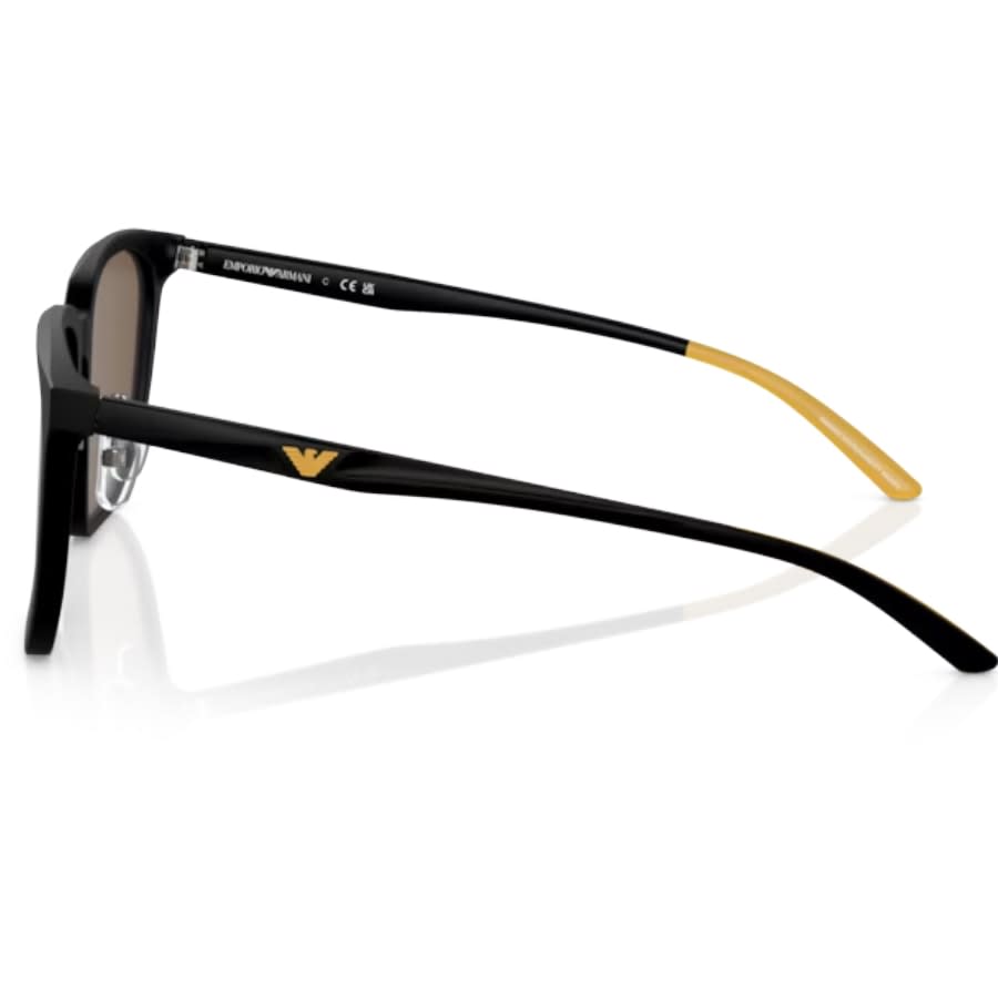 Image number 2 for Emporio Armani 0EA4215D Sunglasses Brown