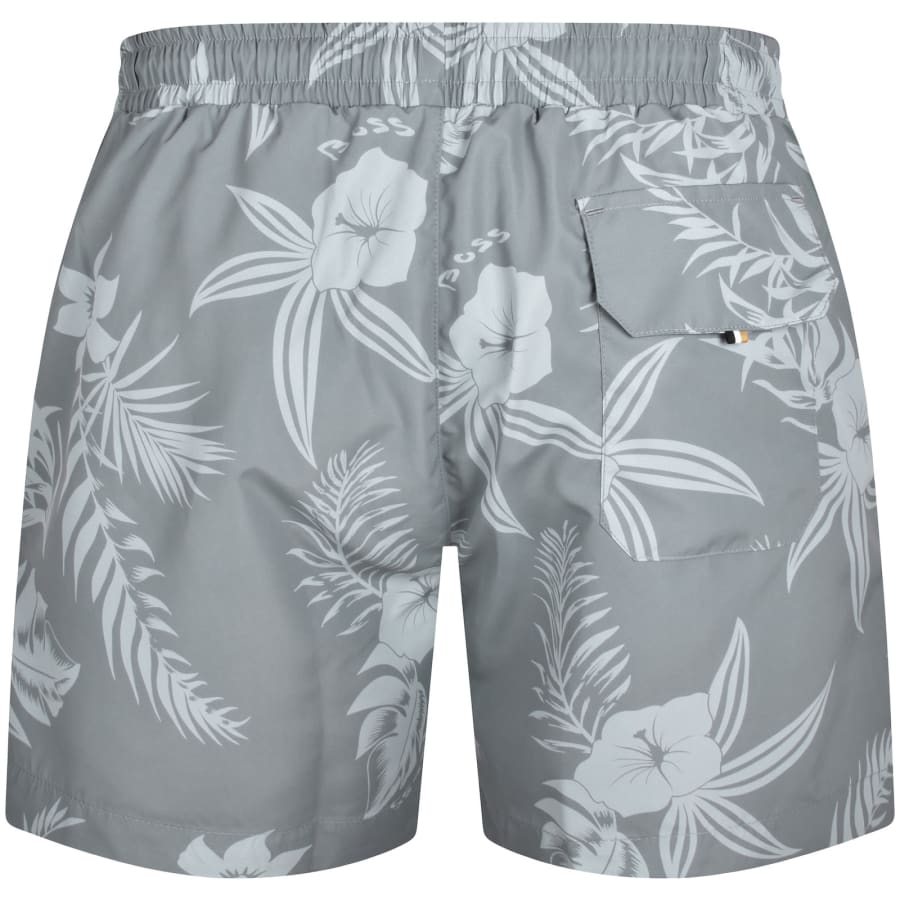 Image number 2 for BOSS Reev Swim Shorts Silver
