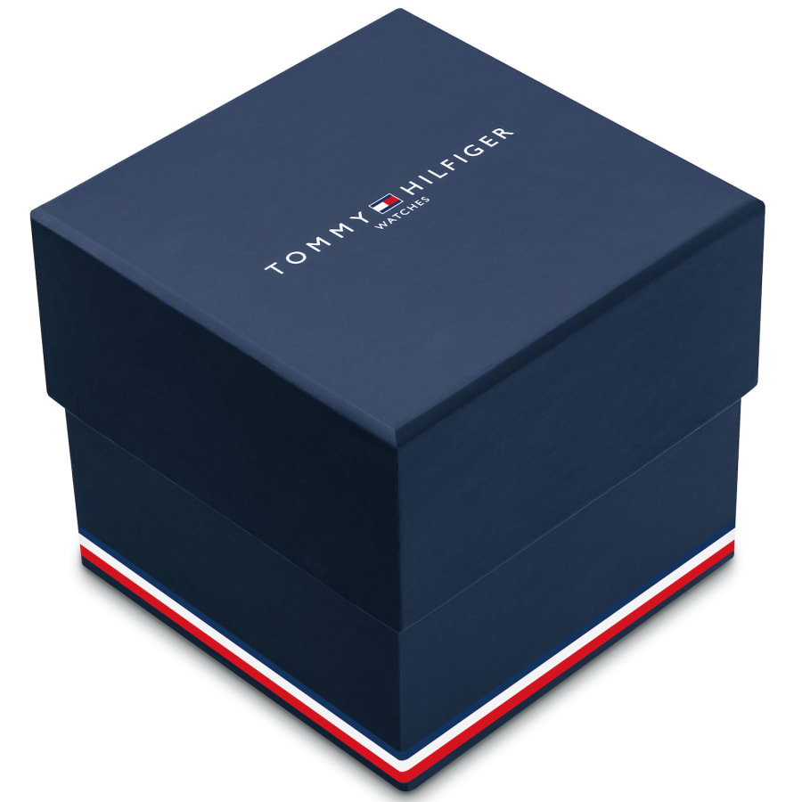Image number 4 for Tommy Hilfiger 1792117 Lorenzo Watch Silver