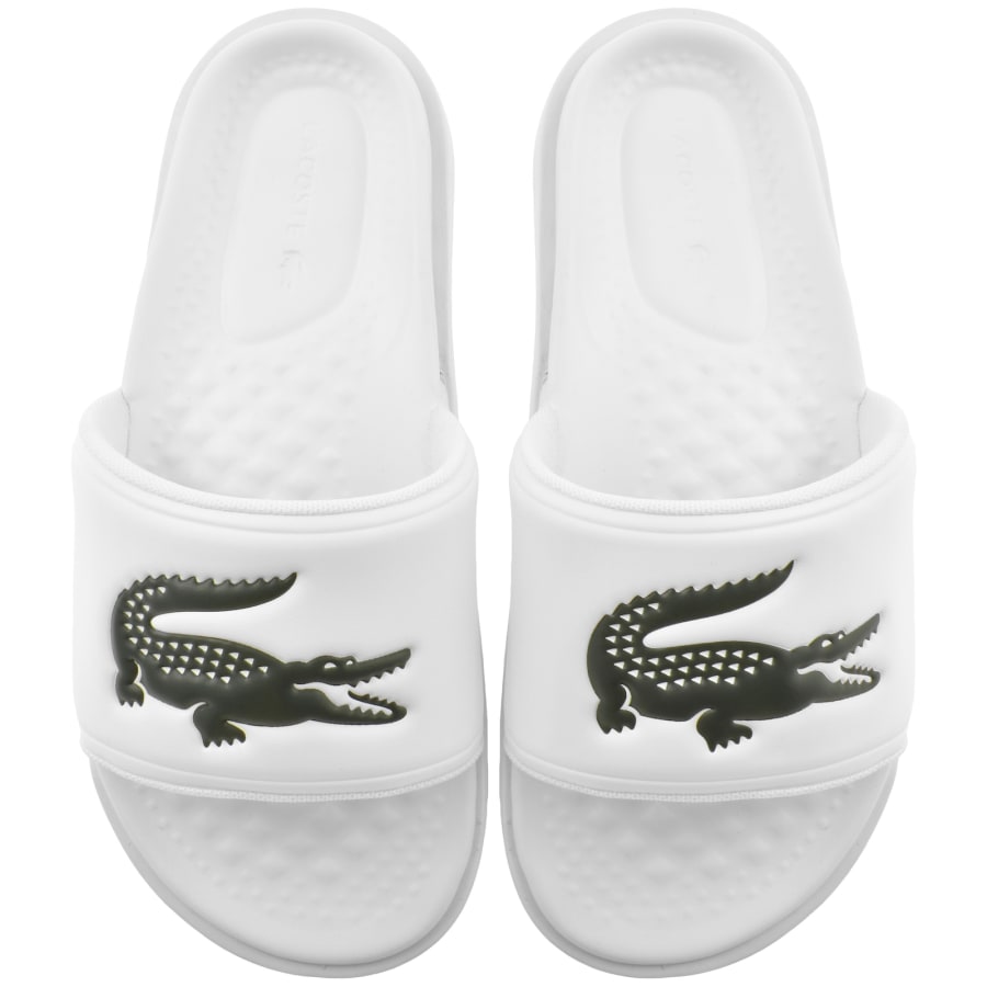 Black lacoste sliders online