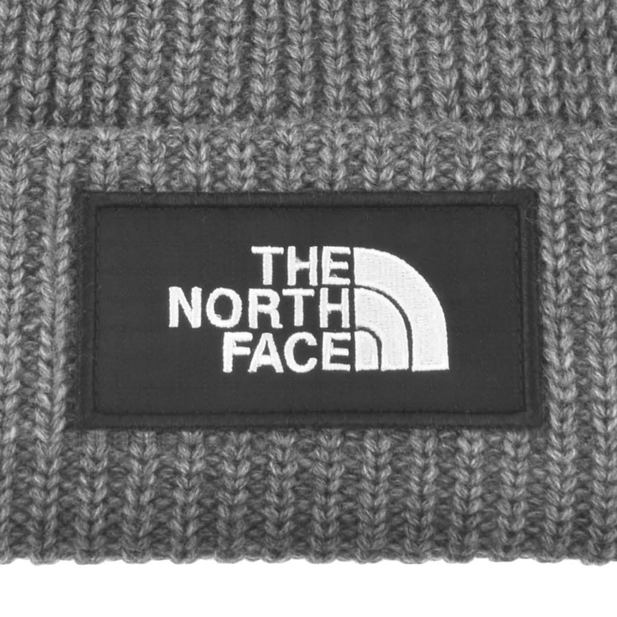 Image number 3 for The North Face Salty Lined Beanie Grey