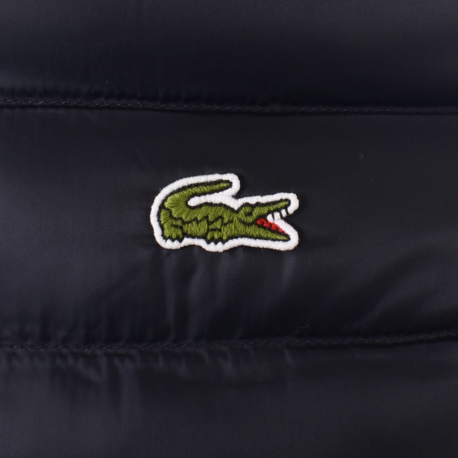 Gilets lacoste outlet