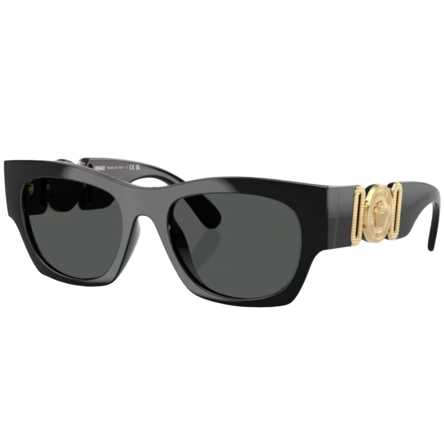 Image number 1 for Versace 0ve4479 Sunglasses Black