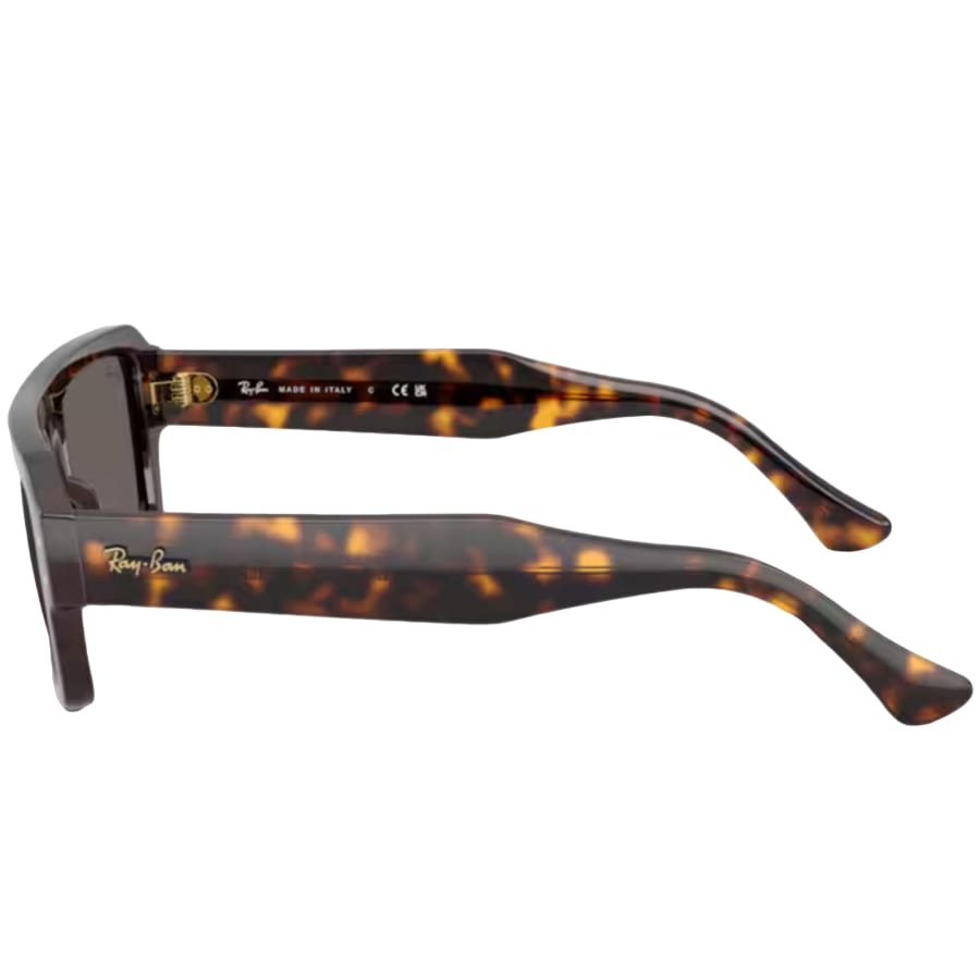 Image number 2 for Ray Ban 4454 Lukas  Sunglasses Brown