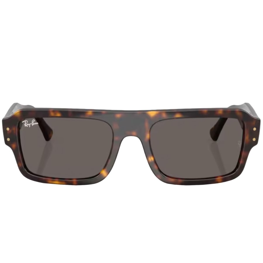 Image number 4 for Ray Ban 4454 Lukas  Sunglasses Brown