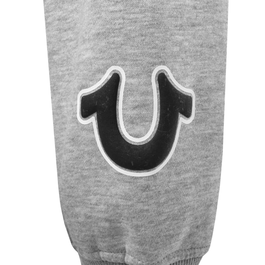 Image number 4 for True Religion Arch Logo Hoodie Grey