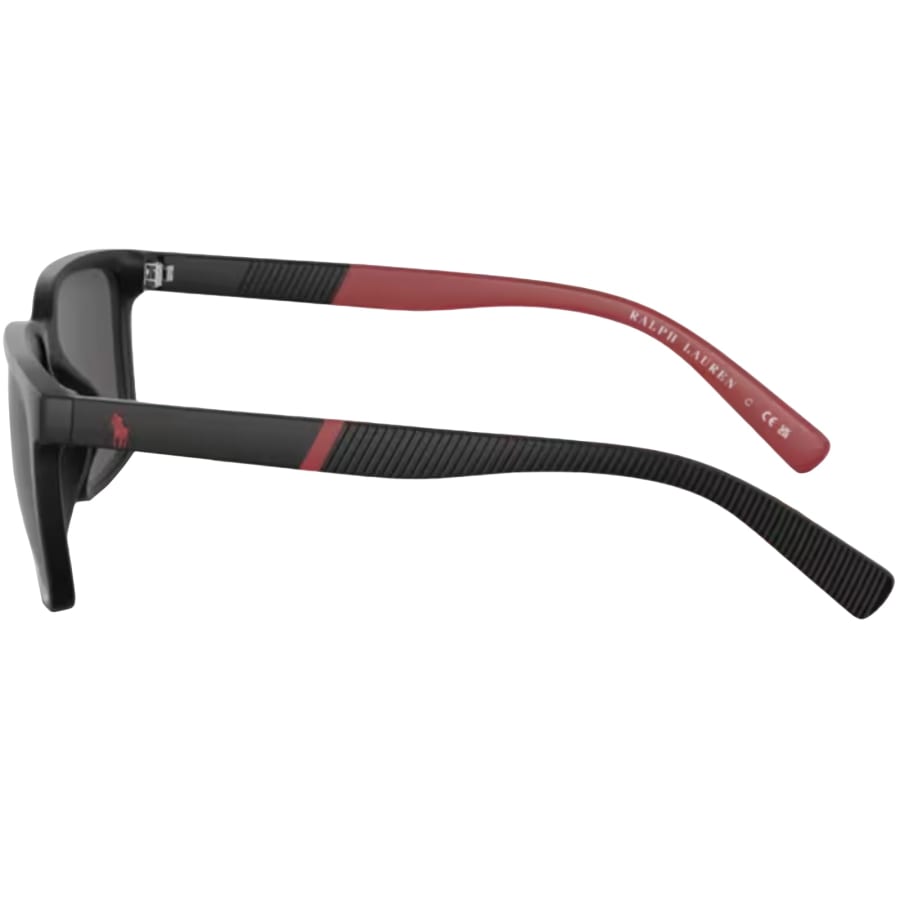 Image number 2 for Ralph Lauren 4189 Sunglasses Black