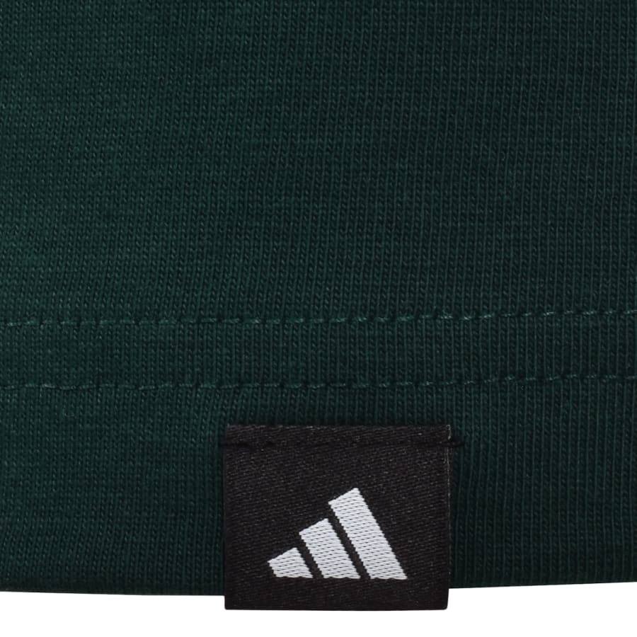 Image number 4 for adidas Sportswear CCS Graphic T Shirt Green